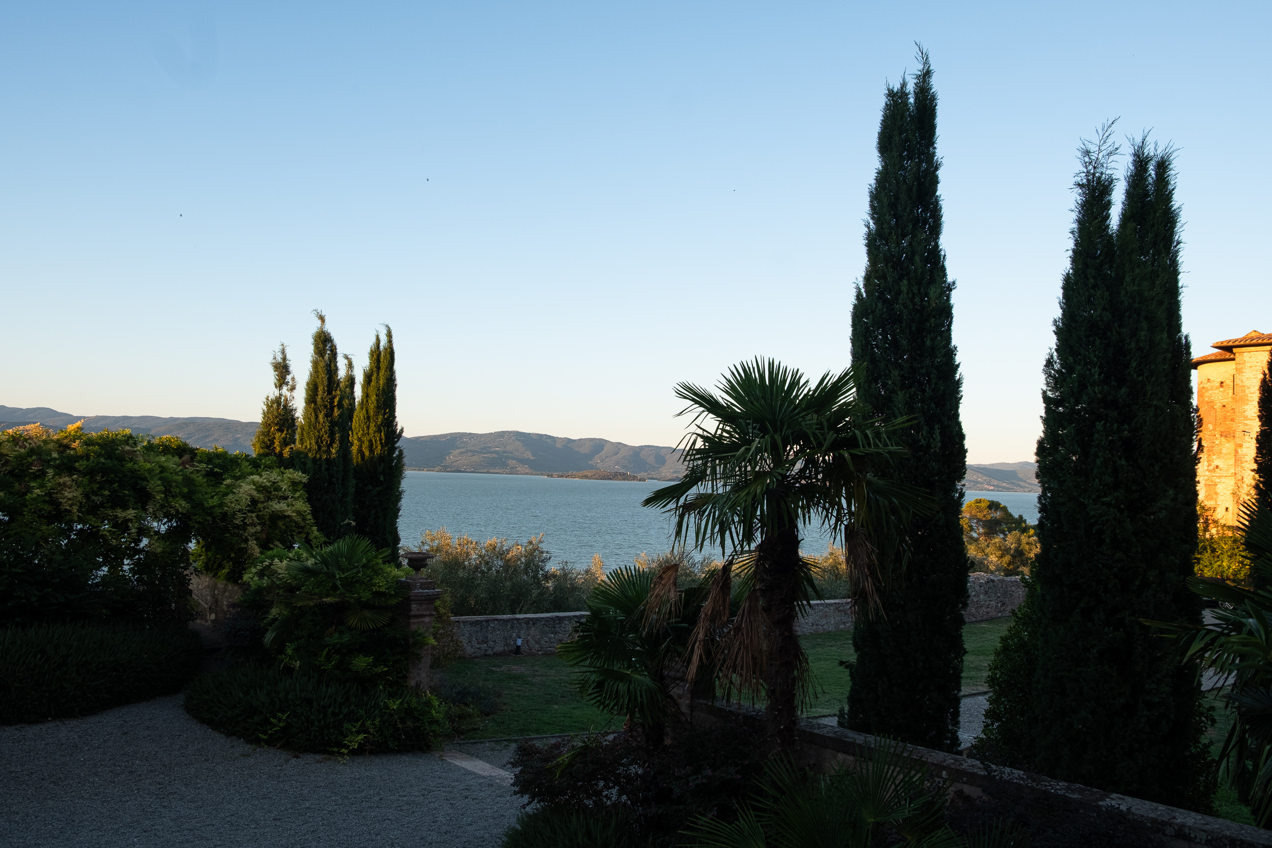 Zypressen und Palmen im Garten über dem See
